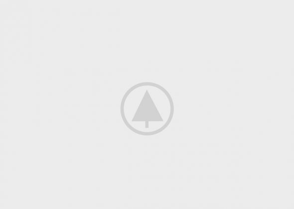 wood-gallery-placeholder-5 wood-gallery-placeholder-5