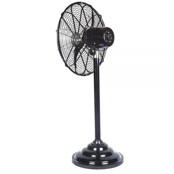 Ravi Stand Fan Arpan General Stores